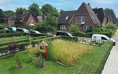Ein Foto des Insektenhotels